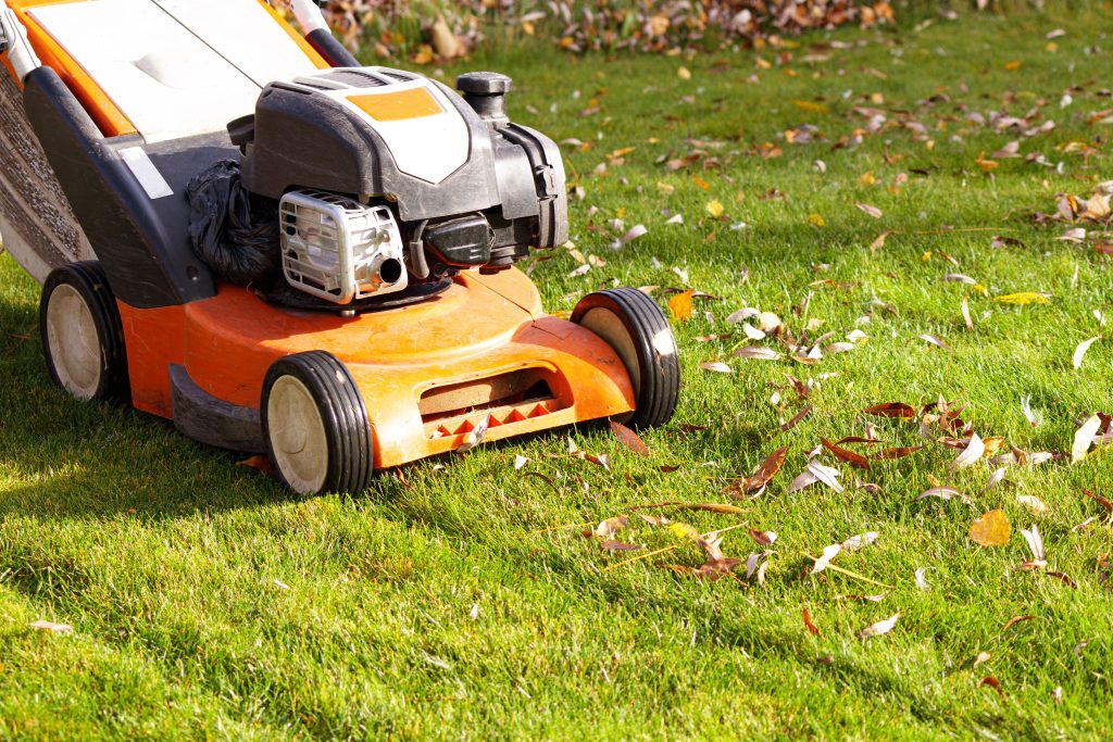 Lawn mower in the fall