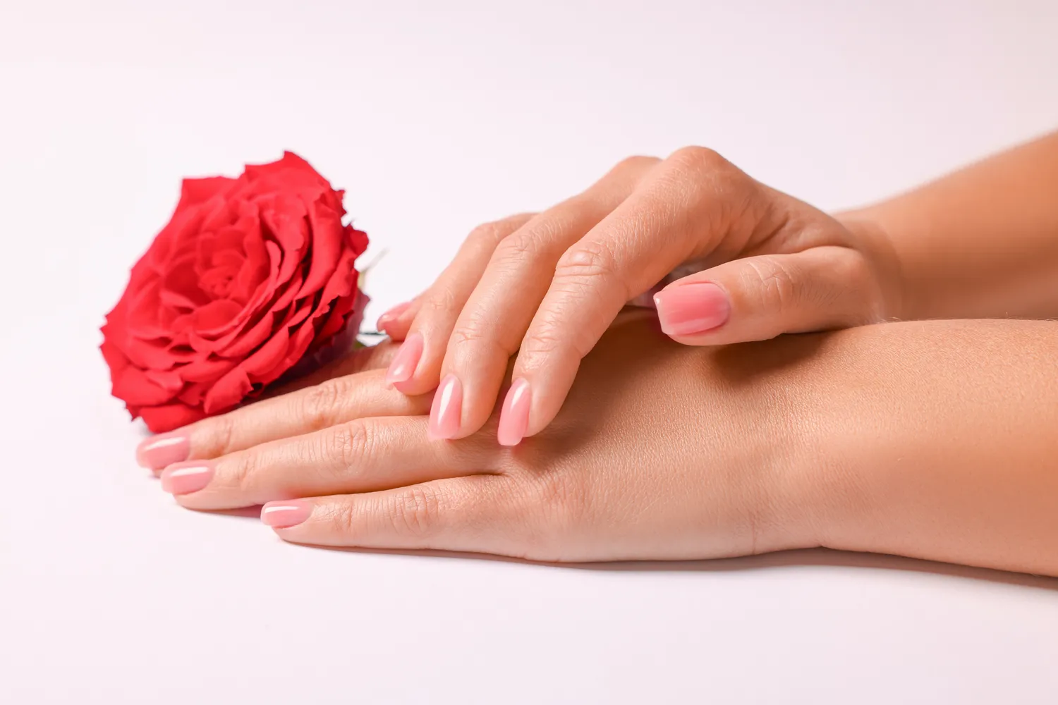 Rosy nails on a hand resting near a red rose
