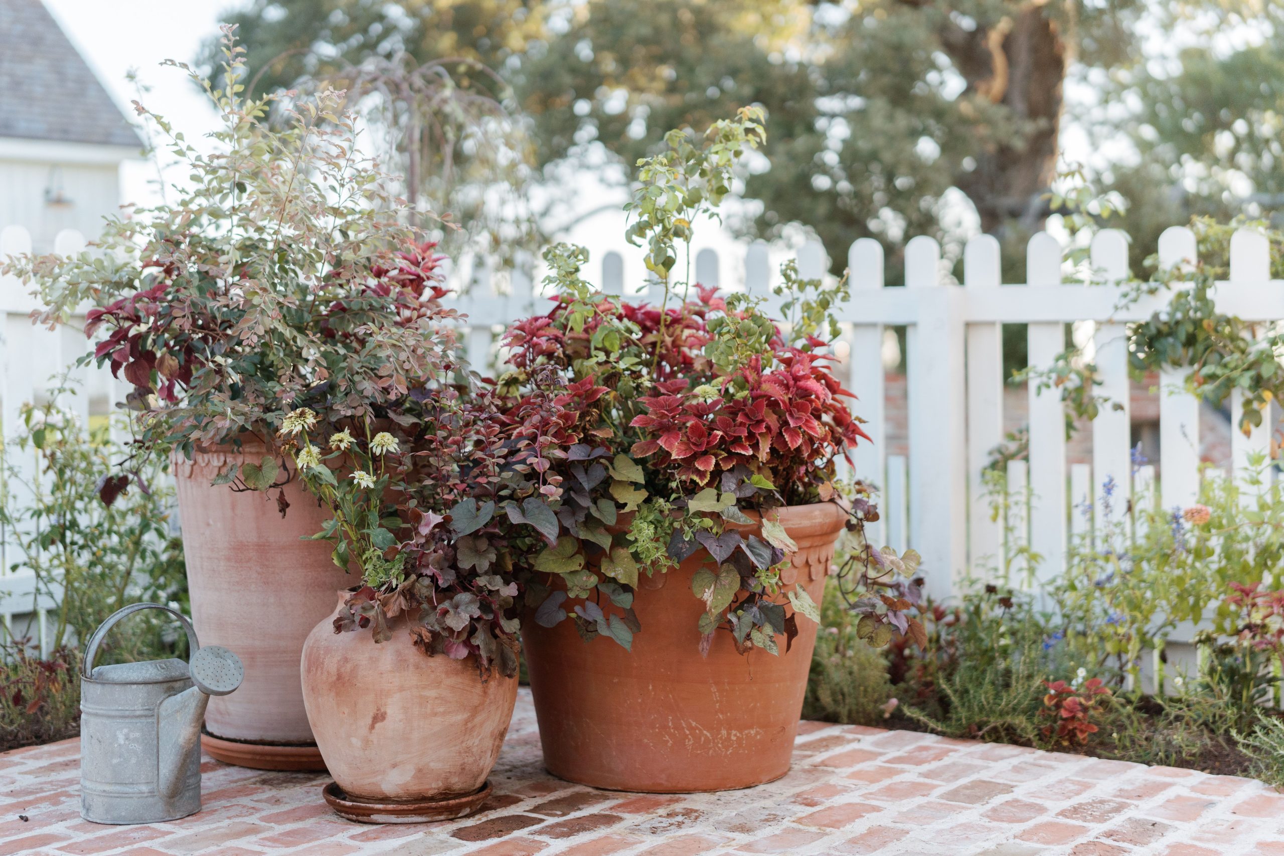 Top 4 Fall Planting Hints from Joanna Gaines for an Ideal Porch Showcase