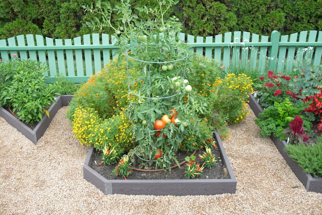 Raised vegetable garden