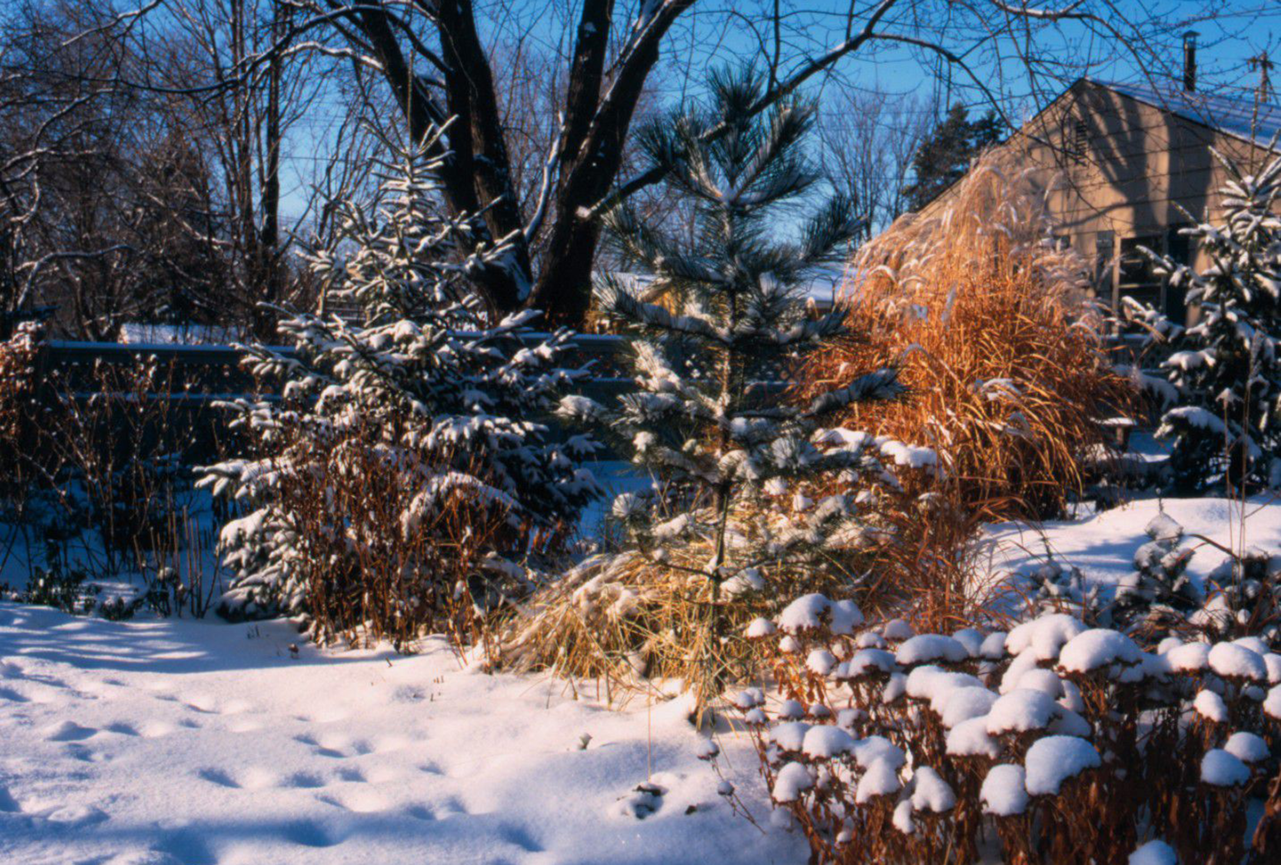 The Farmers’ Almanac predicts an ‘extraordinary’ winter, expecting significant snowfall surges in certain areas.
