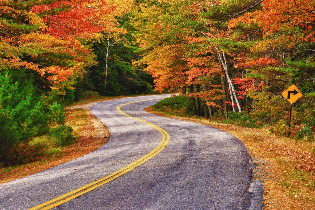 fall foliage road